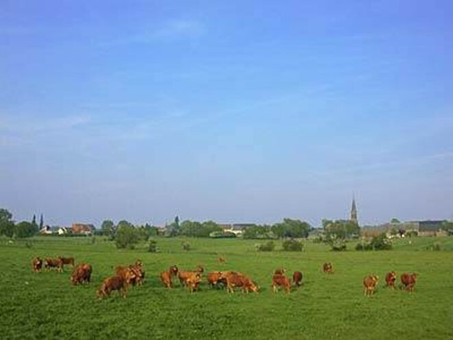 Liberchies (Belgique). La prairie où Django Reinhardt est né. © photo DR Liberchies (Belgique). La prairie où Django Reinhardt est né. © photo DR